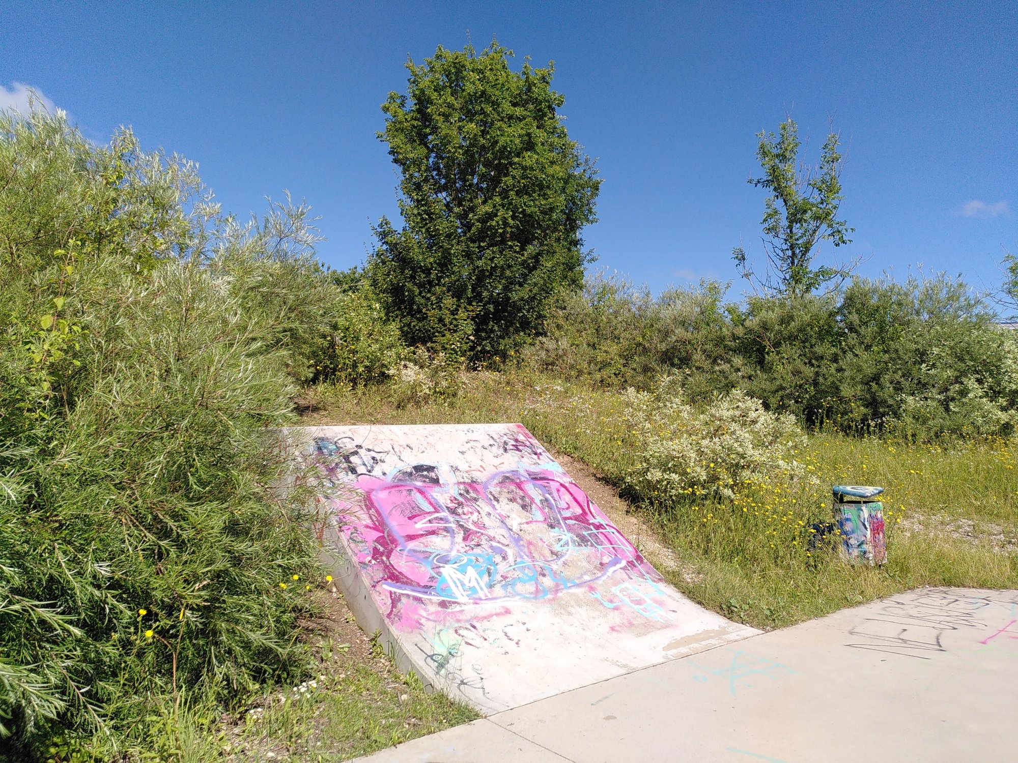 Neuried Skatepark